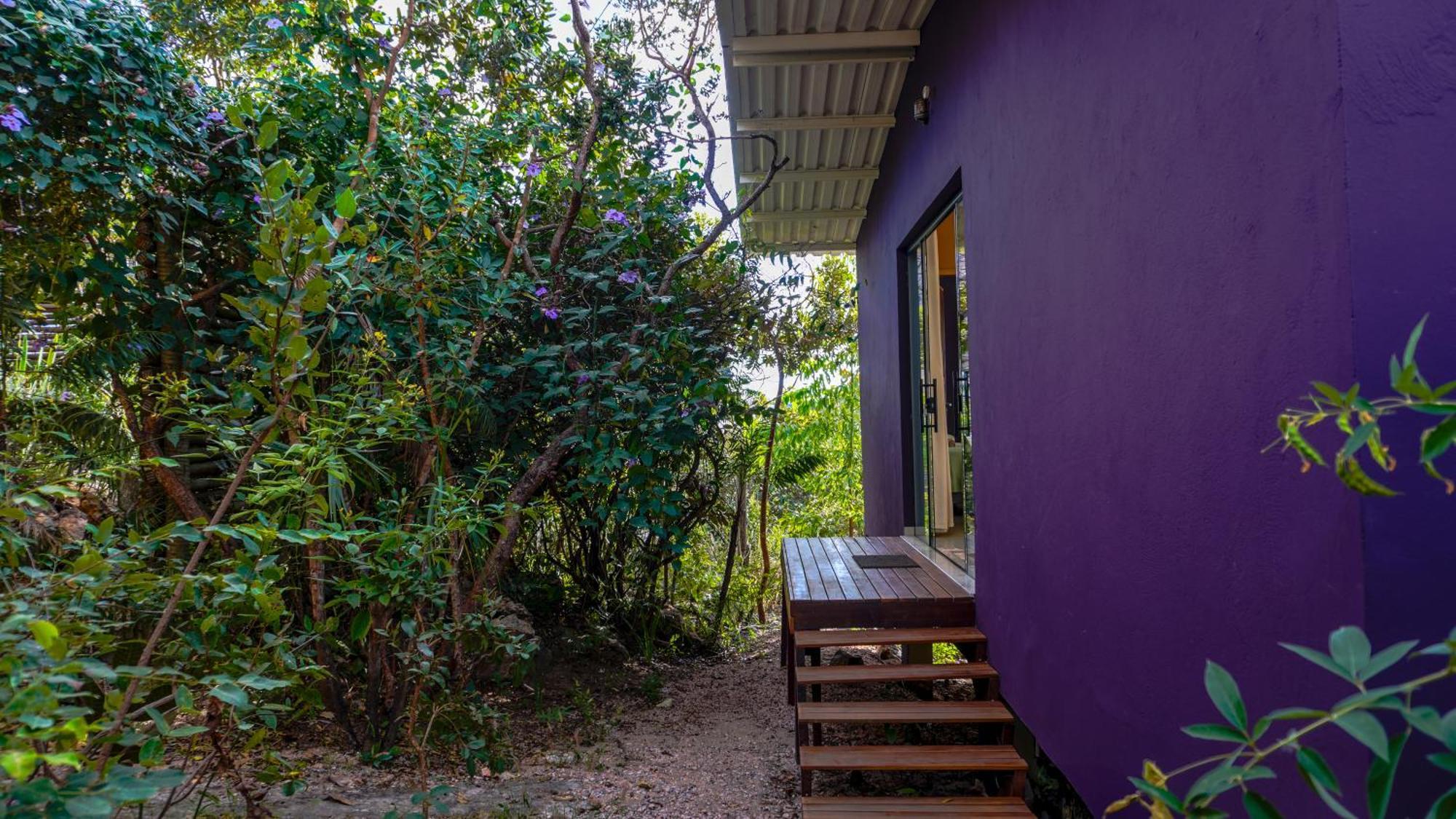 Vila Flor - Chapada Dos Veadeiros Alto Paraíso de Goiás Екстериор снимка