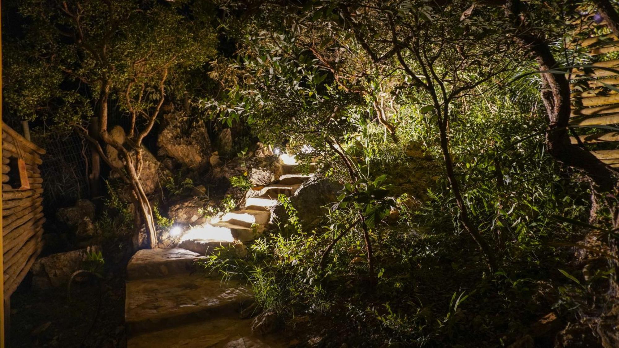 Vila Flor - Chapada Dos Veadeiros Alto Paraíso de Goiás Екстериор снимка